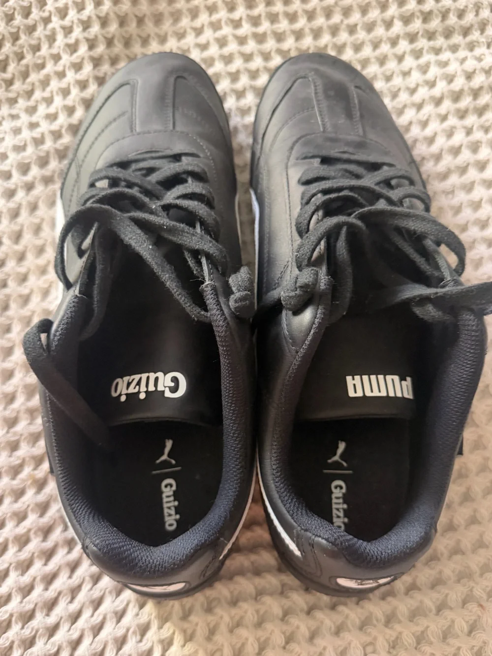 Puma guizio speedcat